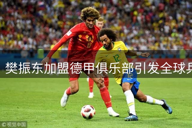 樊振东加盟德甲俱乐部引发全球乒坛"蝴蝶效应